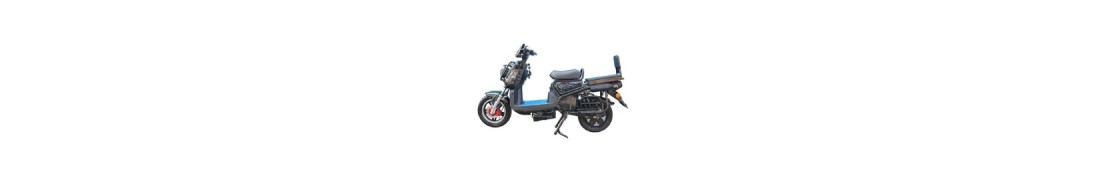 E-SCOOTER (MOPED)