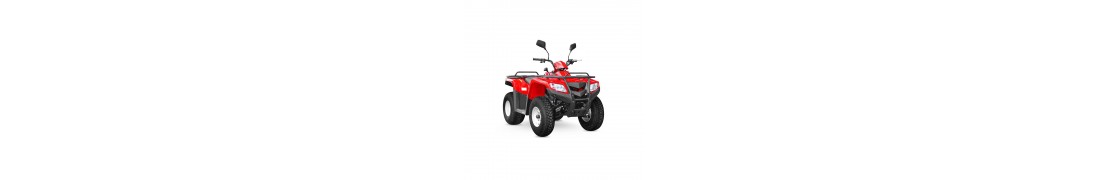 LX 200 TRUCK ATV
