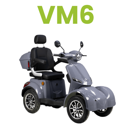 VM6