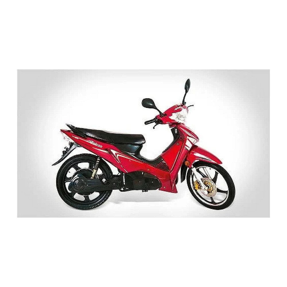 POWER 4500 (2000 W)